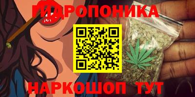 спиды Кунгур