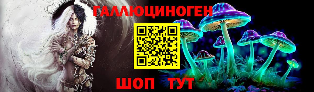 Усть-Джегута  Галлюциногенные грибы Magic Shrooms  Вход с VPN  Псилоцибиновые грибы прущие грибы 